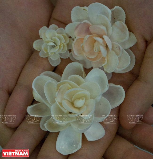 栩栩如生的螺壳花儿。越通社记者 银河/阮伦