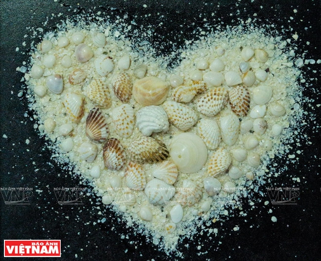 螺壳作品。越通社记者 银河/阮伦