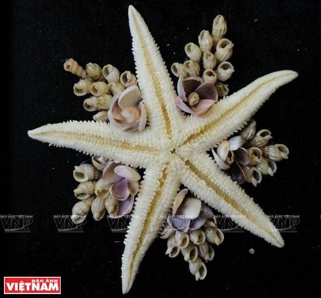 螺壳作品。越通社记者 银河/阮伦