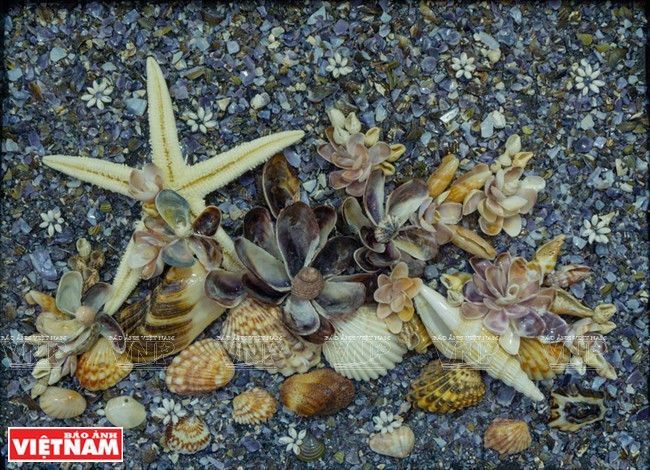螺壳作品。越通社记者 银河/阮伦