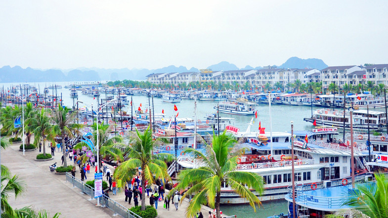 巡州国际客运港能够同时接待2000艘船只，是越南最现代的港口之一。