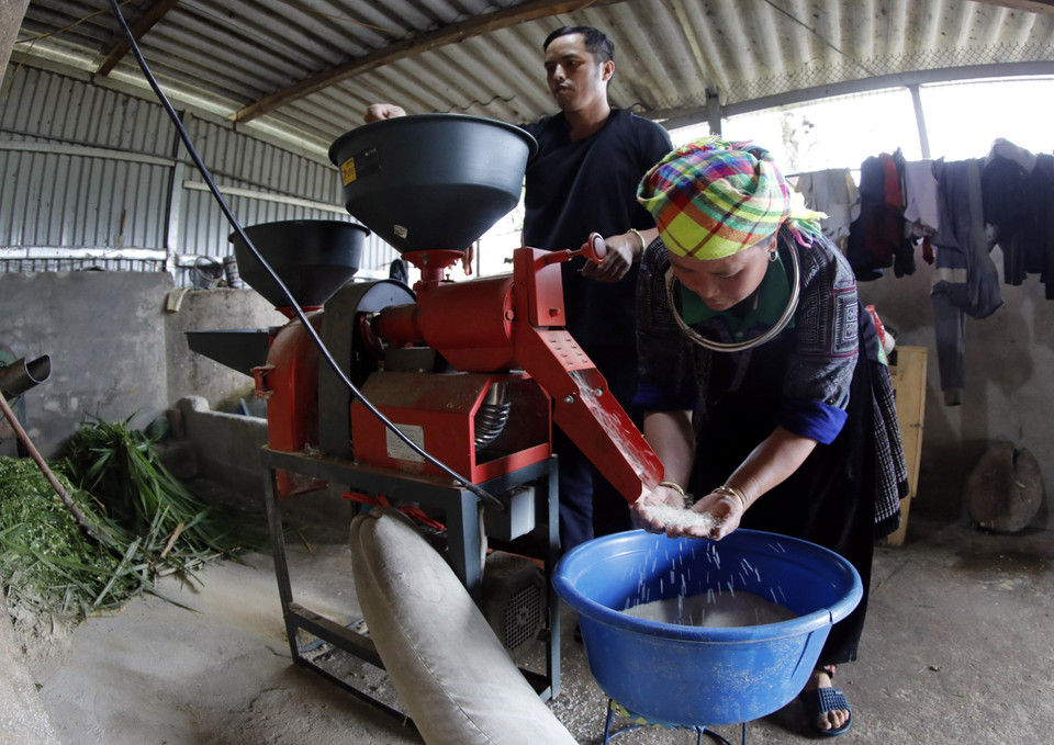 原为安沛省木江界县南刻乡的贫困户，陶啊旁先生家通过信贷优惠政策计划获得贷款后开始走上脱贫致富路，目前已成为本村中等收入户。图自越通社