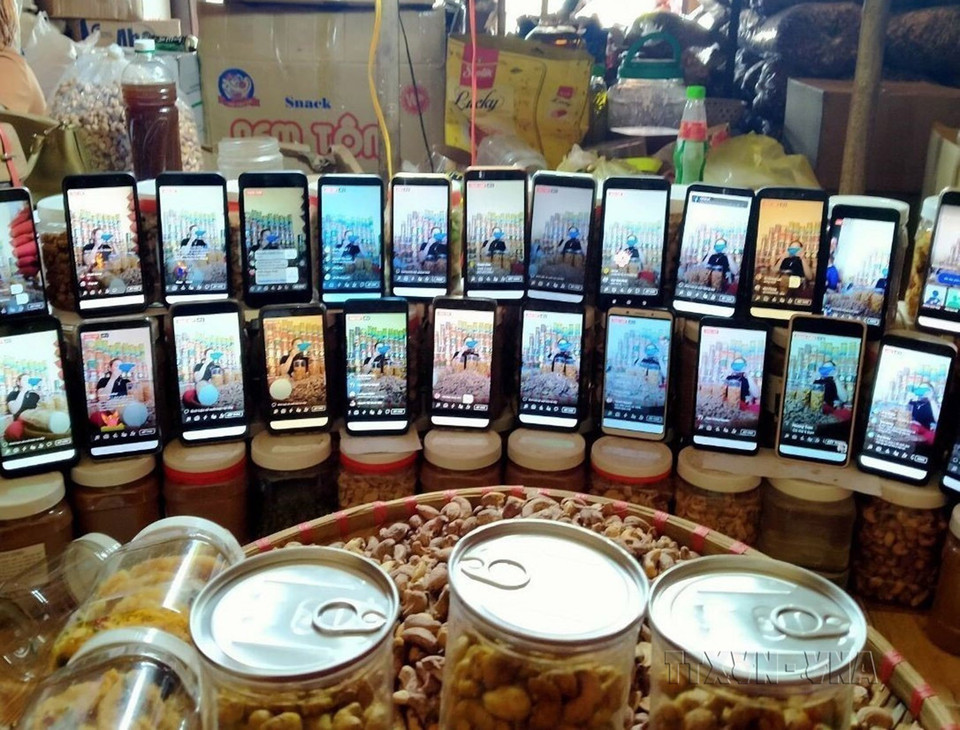 平福省布当县最偏远的乡村——十路乡妇女小组主动利用因特网，将当地的土特农产品通过在线销售平台，向全国各地网民推销。图自越通社