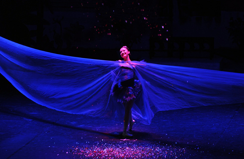 《胡桃夹子》芭蕾舞剧的最后一幕（图片来源：人民报）