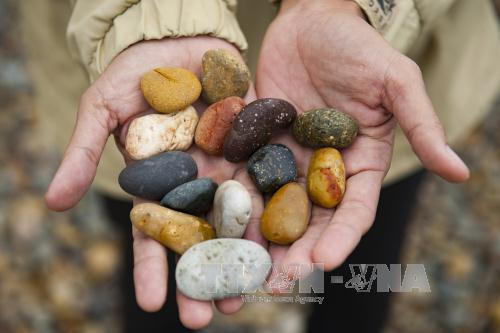 不同形状及颜色的石头（图片来源：越通社）