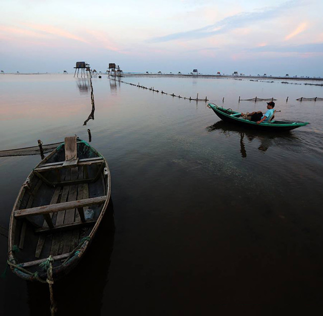 （图片来源：越南《人民报网》）