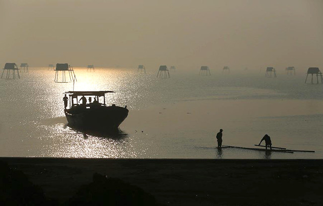 （图片来源：越南《人民报网》）