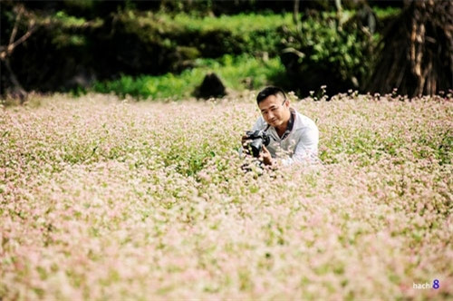 官坝、安明、埔告、崇辣、垄枣、麻乐、苗旺等地是游客欣赏荞麦花最佳之地。参观门票一般1万越盾/人（图片来源：vnexpress.net）