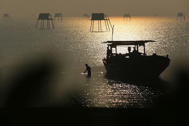 （图片来源：越南《人民报网》）