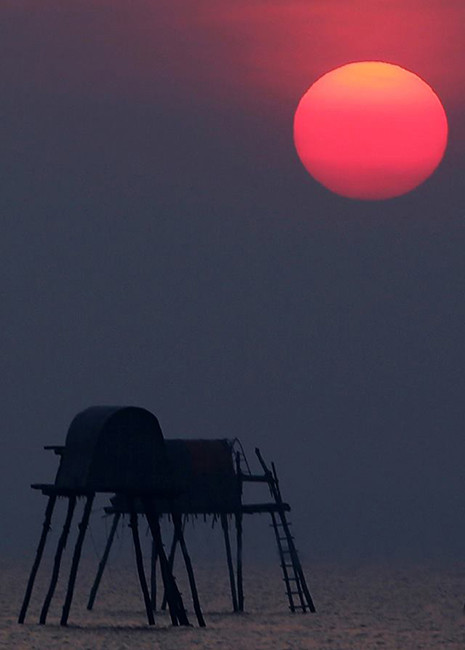 （图片来源：越南《人民报网》）