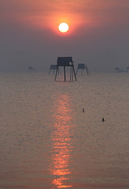 （图片来源：越南《人民报网》）