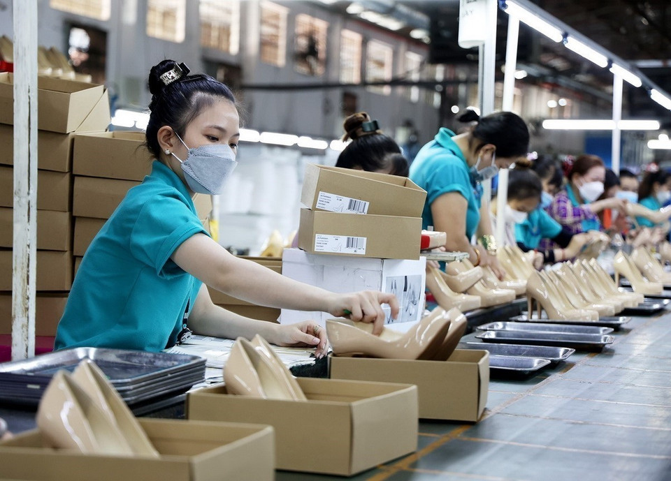 工人在胡志明市守德市嘉定鞋业有限公司工厂生产皮鞋。图自越通社