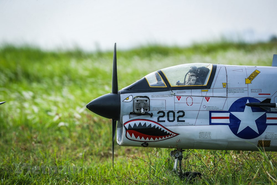 有些大型遥控飞机从制造到可以飞行要花两年时间。（图自Vietnam+）