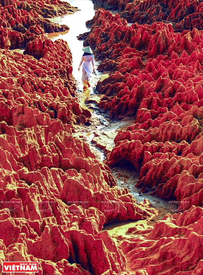 昔日红丘（图片来源：越通社）