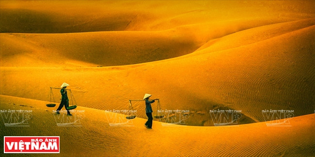 沙丘（图片来源：越通社）