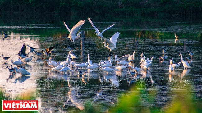 融入大自然（图片来源：越通社）