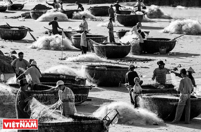 打网捕鱼（图片来源：越通社）