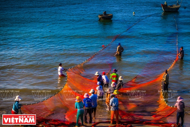 拉网（图片来源：越通社）
