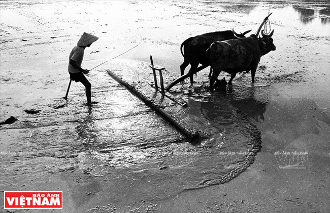 战争遗迹（图片来源：越通社）