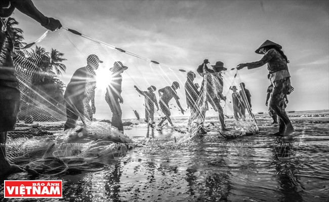 海洋画景（图片来源：越通社）