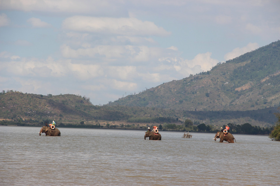 游客们骑大象游乐湖。越通社记者 俊英 摄