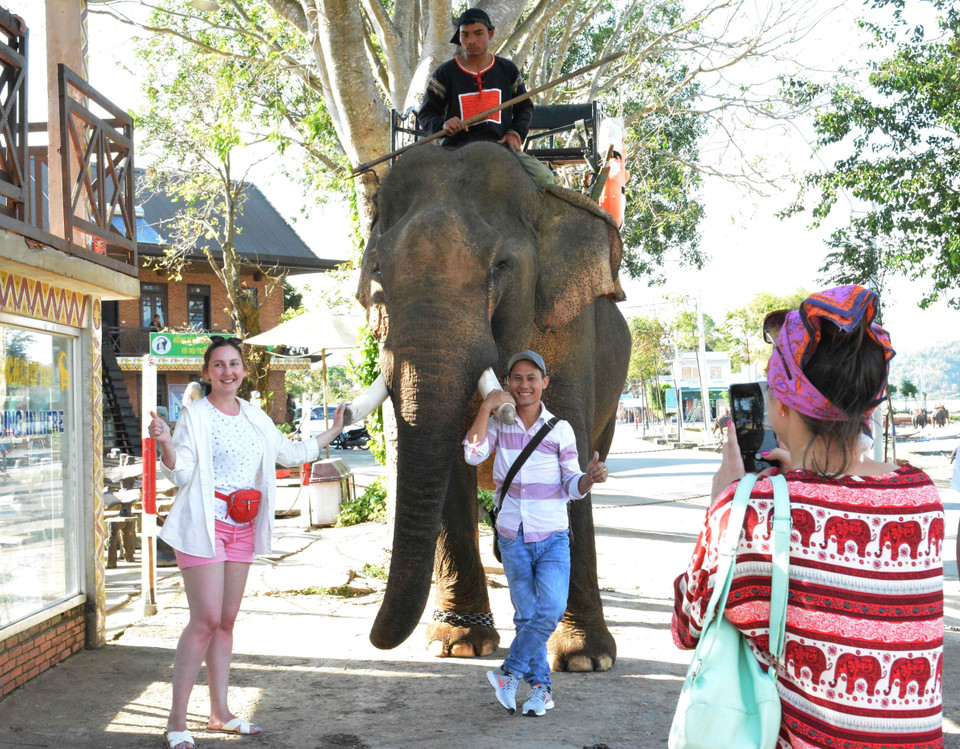 游客们跟大象合影。越通社记者 俊英 摄