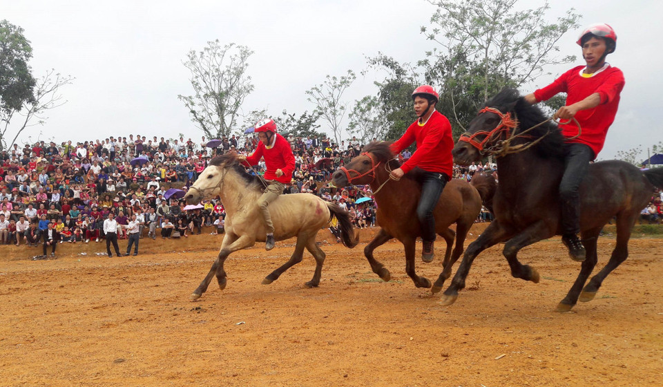 参赛选手骑马进入比赛场地，进行激烈角逐。越通社记者 文子 摄
