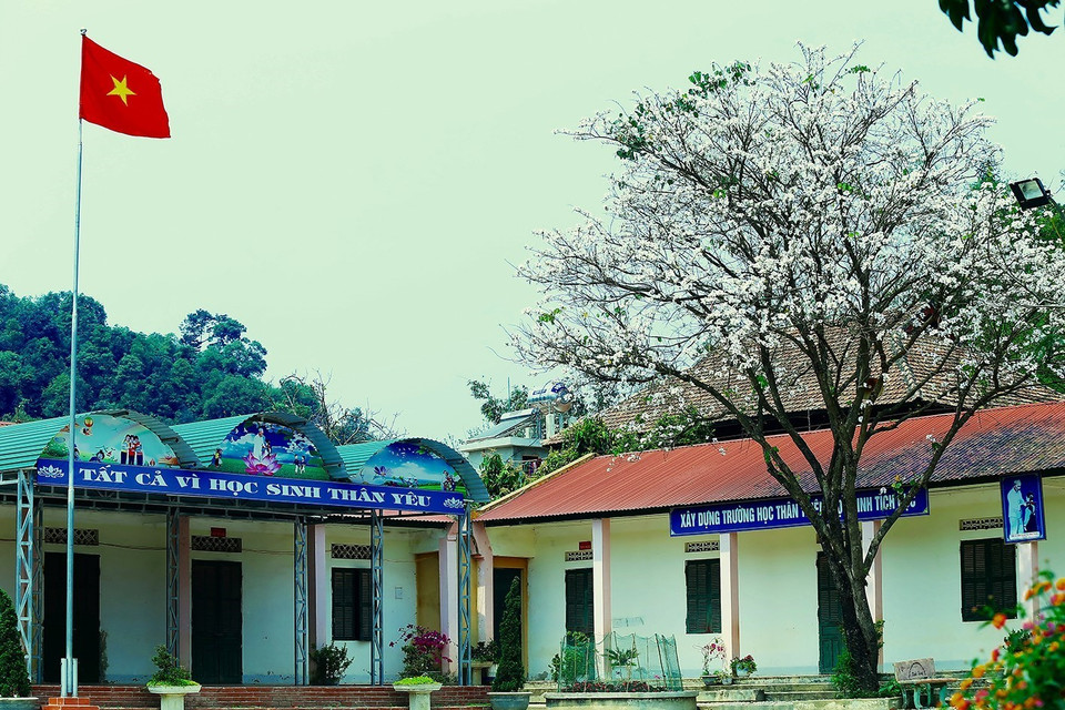  羊蹄甲花节是越南西北地区文化之美。越通社记者 潘俊英 摄