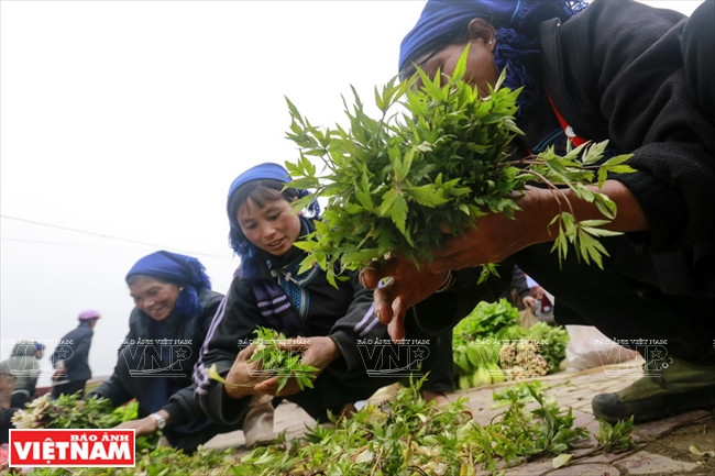 哈尼族人到集市卖药用植物。（图片来源：越南画报）