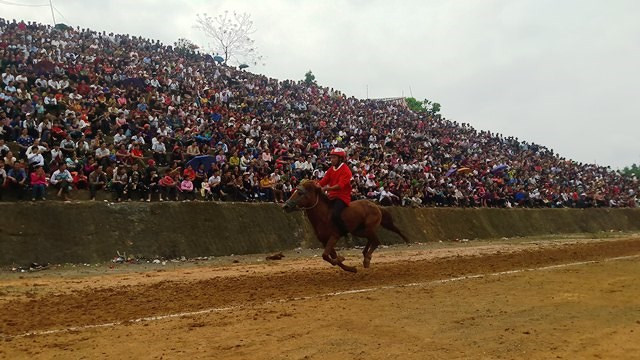 获得一等奖是来自老街省的33号赛马。（图片来源于：https://baomoi.com）
