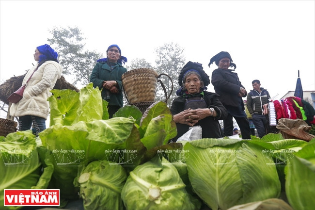 衣帝山区非常适合种植蔬果。（图片来源：越南画报）