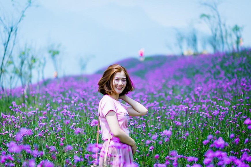 到番西邦峰观看花谷的美丽。图自越通社