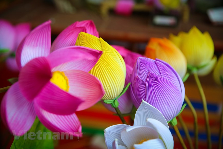 每逢春节来临，承天顺化省富旺县富戊乡青仙村到处都能看见朵朵鲜艳色彩的纸花。值得一提的是，经历数百年的时间，青仙村民仍保留并弘扬本地纸花制作的传统 手工艺，生产纸花满足顺化人和附近地区居民在春节期间对纸花的需求。诸多游客前往承天顺化省青仙纸花手工艺村探索这一传统手工艺业。图自Vietnam+