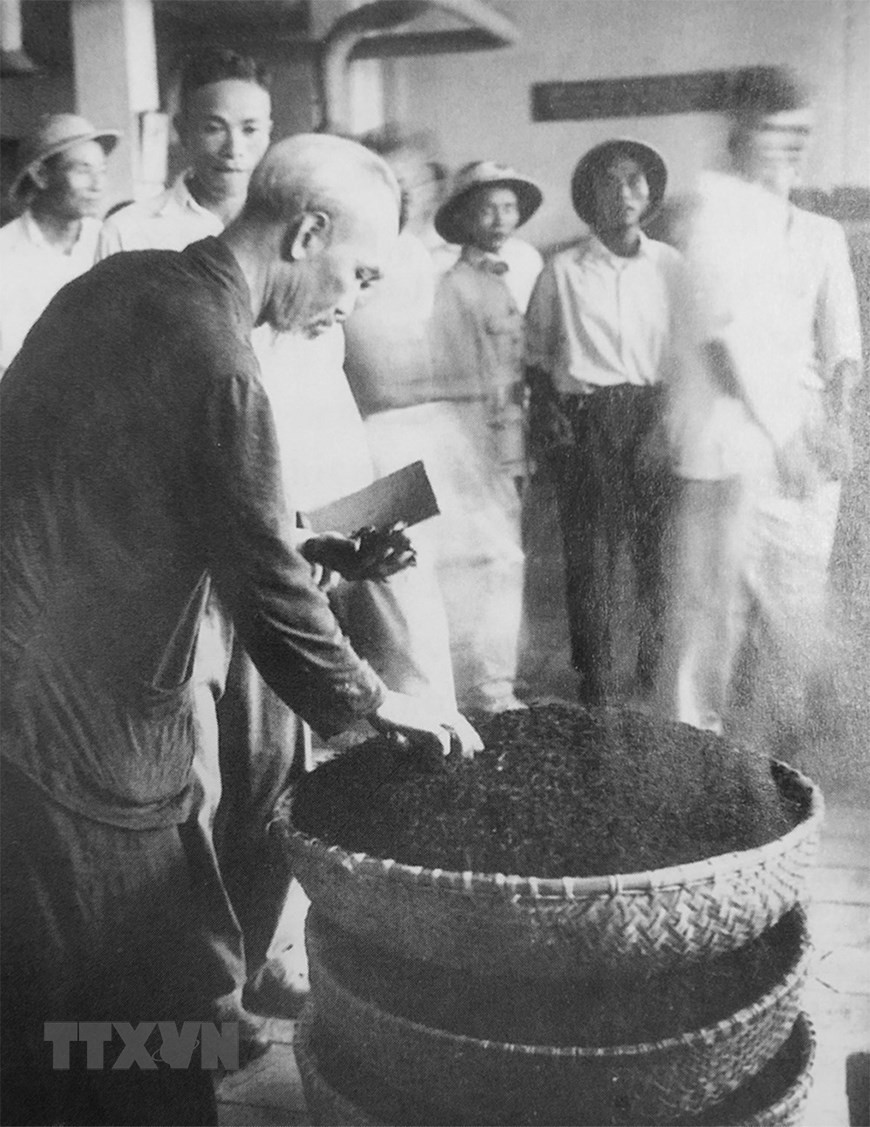 1958年7月20日，胡主席走访富寿茶叶生产厂。图自越通社