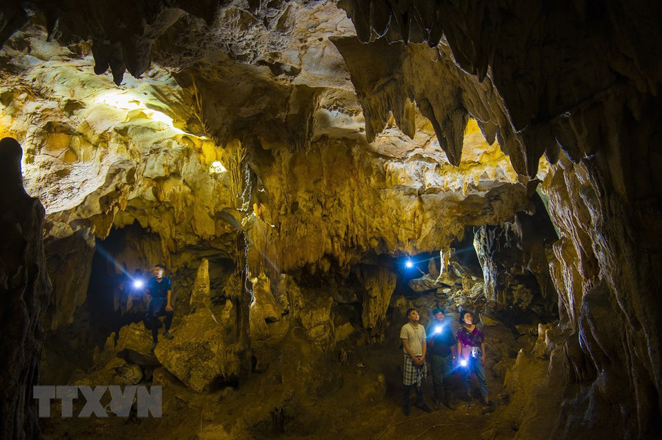 洞里的钟乳石形态各异，美轮美奂，让人目不暇接。越通社记者明德 摄