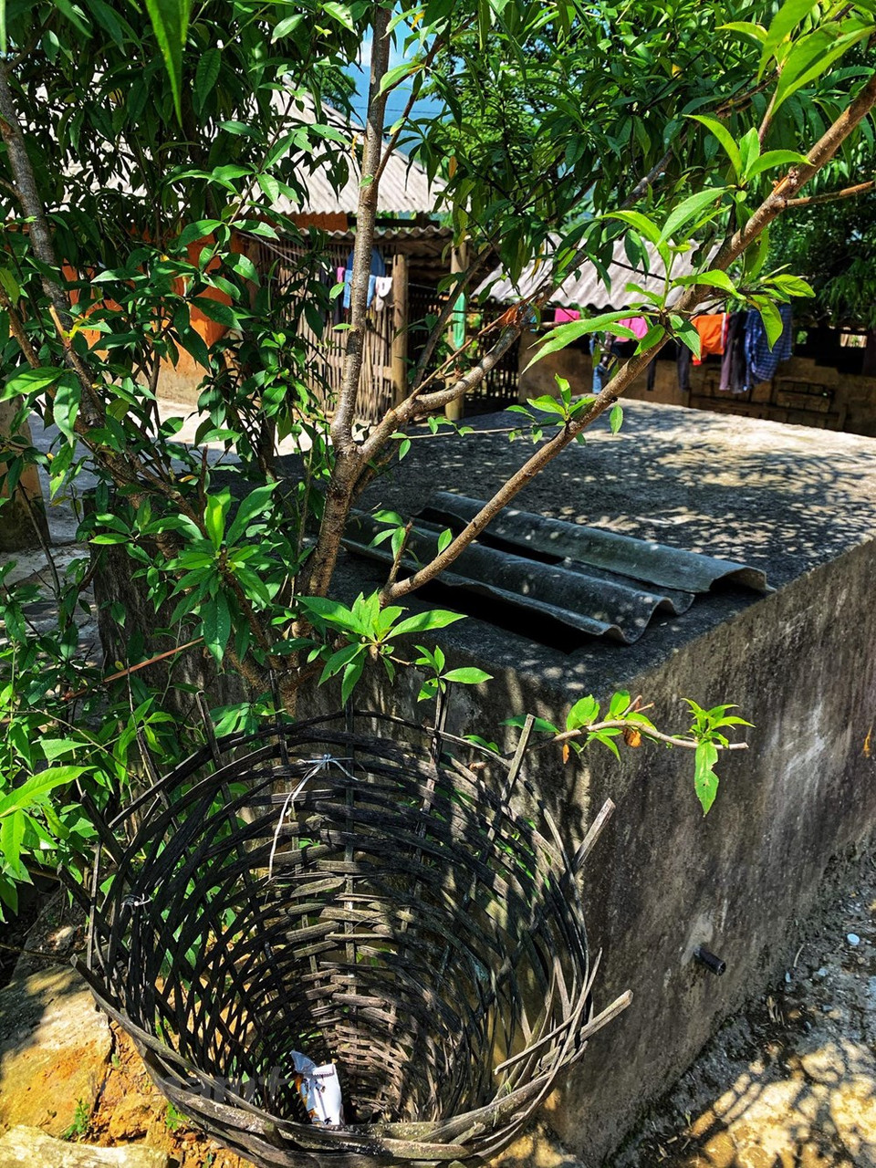 为了确保公共卫生，准天乡人还准备“环境友好型”垃圾桶。Vietnamplus记者春梅 摄