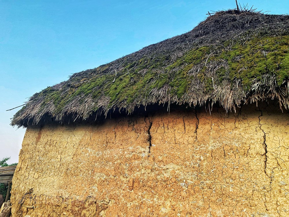 以前，哈尼族同胞常常使用野草编织成50公分厚的屋顶，因此哈尼族夯土墙房屋夏天凉快冬天温暖。Vietnamplus记者春梅 摄