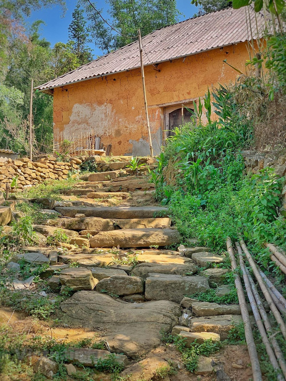 夯土墙房屋土墙40-45公分厚，高4.5-5米。Vietnamplus记者春梅 摄