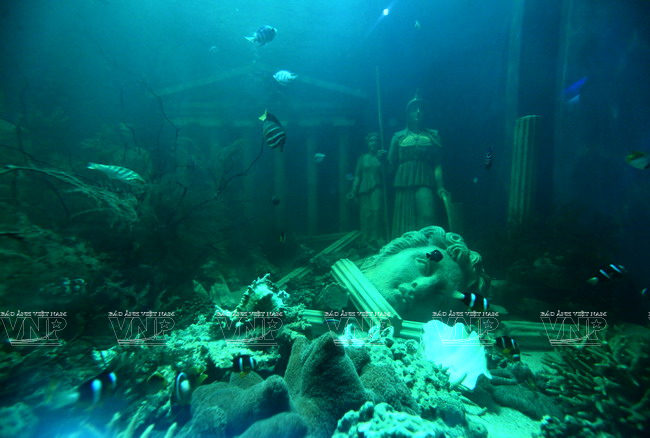 莲潭水族馆总面积为3000平方米，是6000多种水生动物栖息地。（图片来源：越通社《越南画报》）