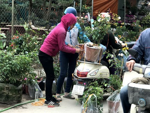 挑选最好的花朵回家摆设。（图片来源：人民军队报网）