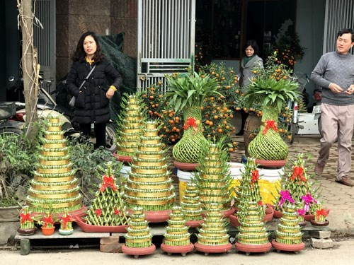 精致造型的观赏盆景。（图片来源：人民军队报网）