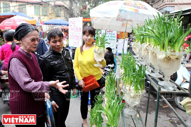 ​春节即将来临，花卉市场也日益升温（图片来源：越通社）