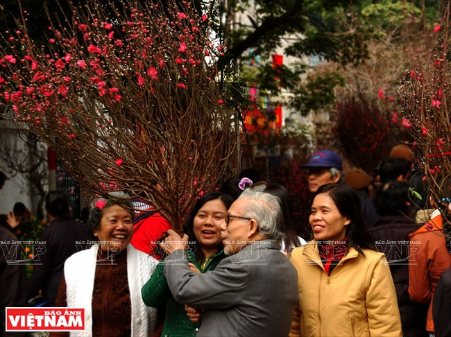 ​桃花是越南北部人民过年不可缺少的部分之一（图片来源：越通社）