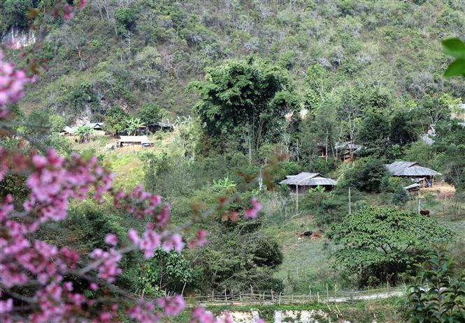  美丽的高山风景。越通社记者春进 摄