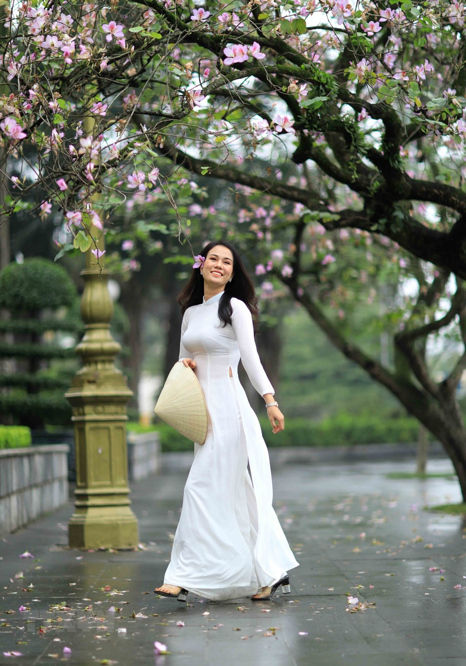 羊蹄甲花的淡紫色吸引众多年轻人拍照。越通社记者 日安 摄