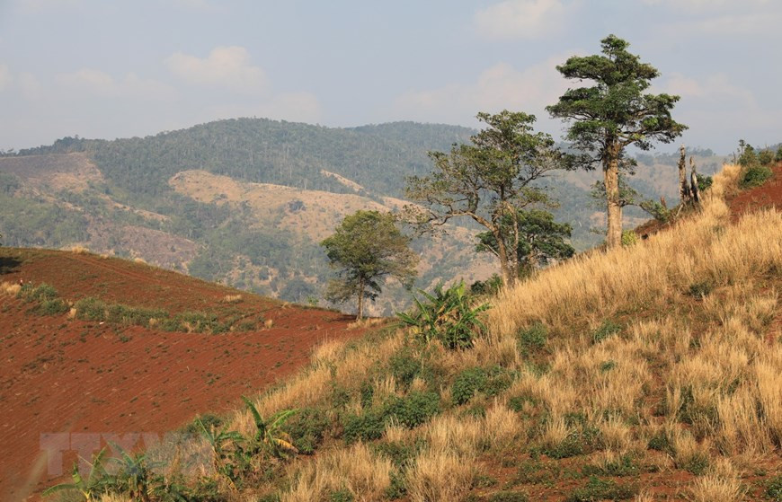 嘉莱山雄伟壮观的风景。越通社记者 成大 摄