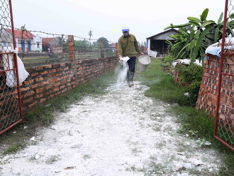 海阳省锦江县锦江凤凰村农民在禽类饲养棚里撒石灰粉消毒。越通社记者 武生 摄