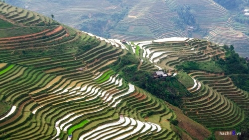 河江省同文岩石高原的梯田美景。河江省黄苏菲梯田仍是游客和喜欢拍照的人前来观光的目的地（图片来源：越南每日快讯报）