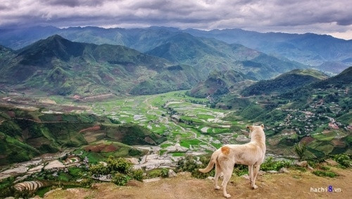 从蔻发（Khau Phạ）关望看的美景（图片来源：越南每日快讯报）