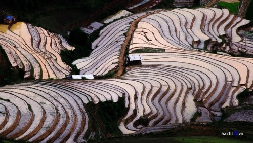 如诗如画的梯田景观（图片来源：越南每日快讯报）